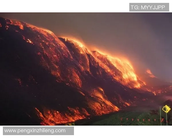 足球岛丛林火灾下载引发的生态危机与保护措施探讨