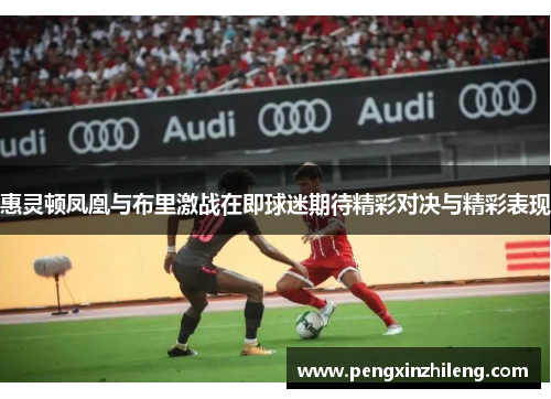 惠灵顿凤凰与布里激战在即球迷期待精彩对决与精彩表现