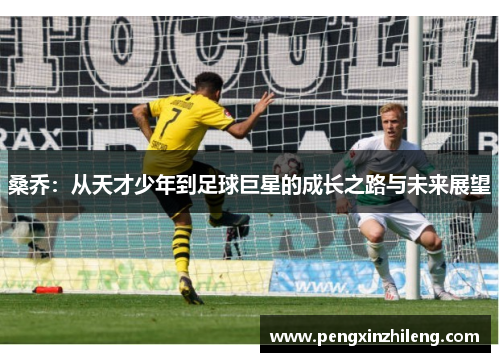 桑乔：从天才少年到足球巨星的成长之路与未来展望