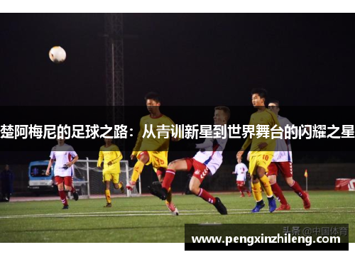 楚阿梅尼的足球之路：从青训新星到世界舞台的闪耀之星