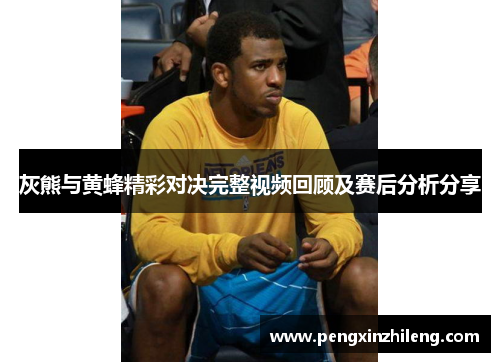 灰熊与黄蜂精彩对决完整视频回顾及赛后分析分享